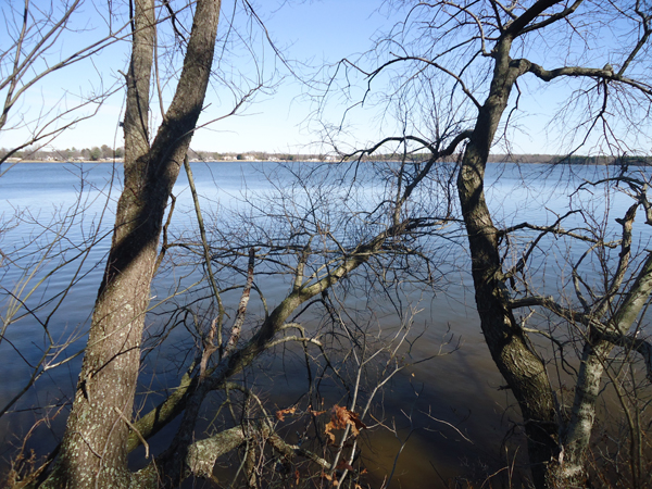 wye island ferry point trail 2 SMALL